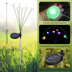 description_selected1