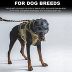 description_selected2