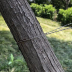 description_selected10
