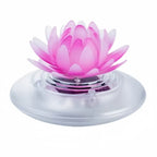 description_selected10