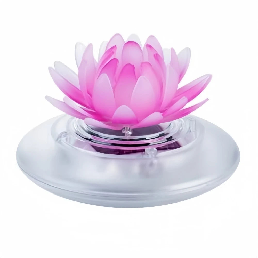 description_selected10