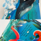 description_selected5