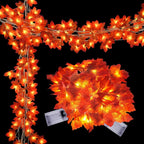 description_selected17