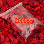 description_selected0