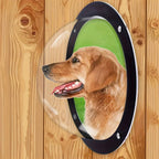 description_selected10