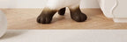 description_selected8
