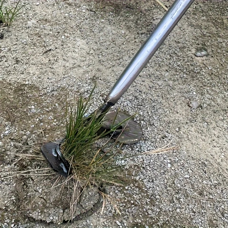 description_selected5