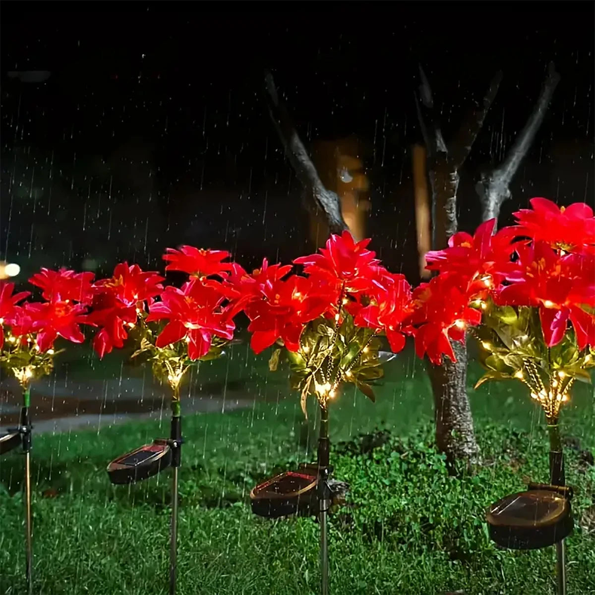 description_selected9