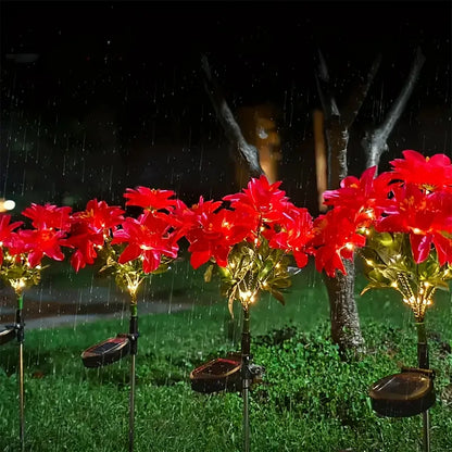 description_selected9