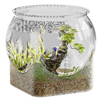 description_selected6