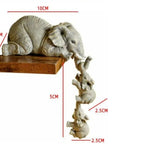 description_selected5