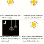 description_selected11