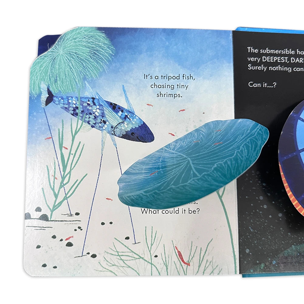 description_selected5