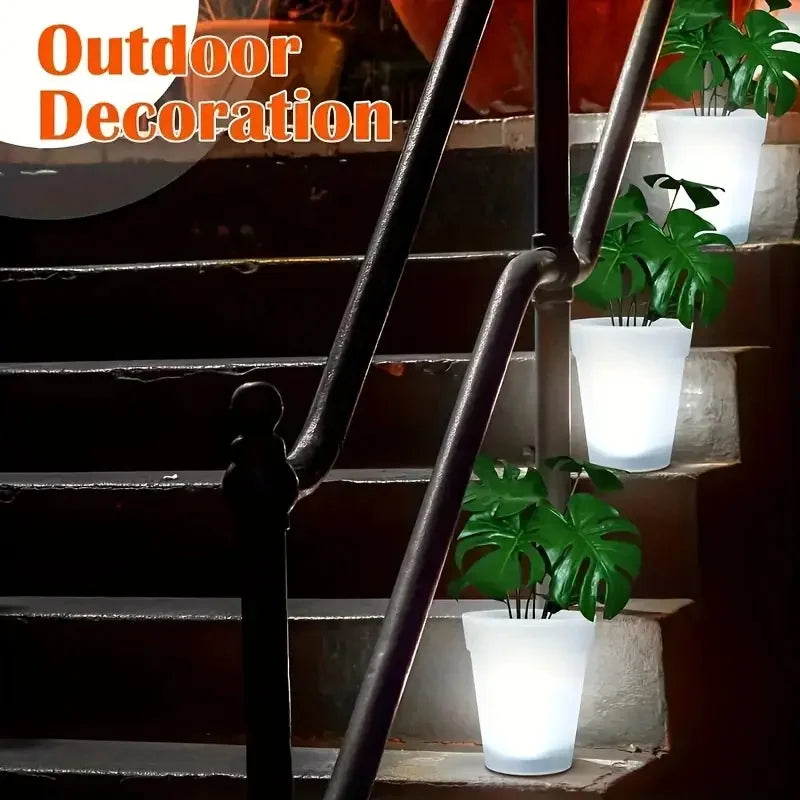 description_selected4