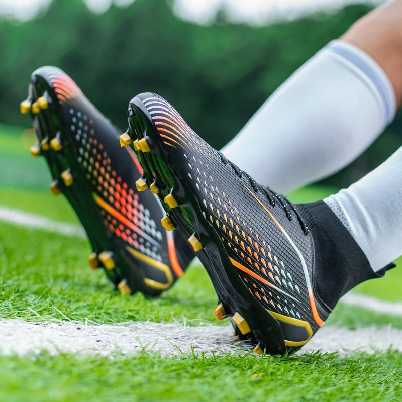 description_selected24