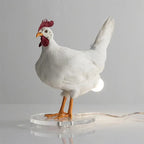 description_selected11