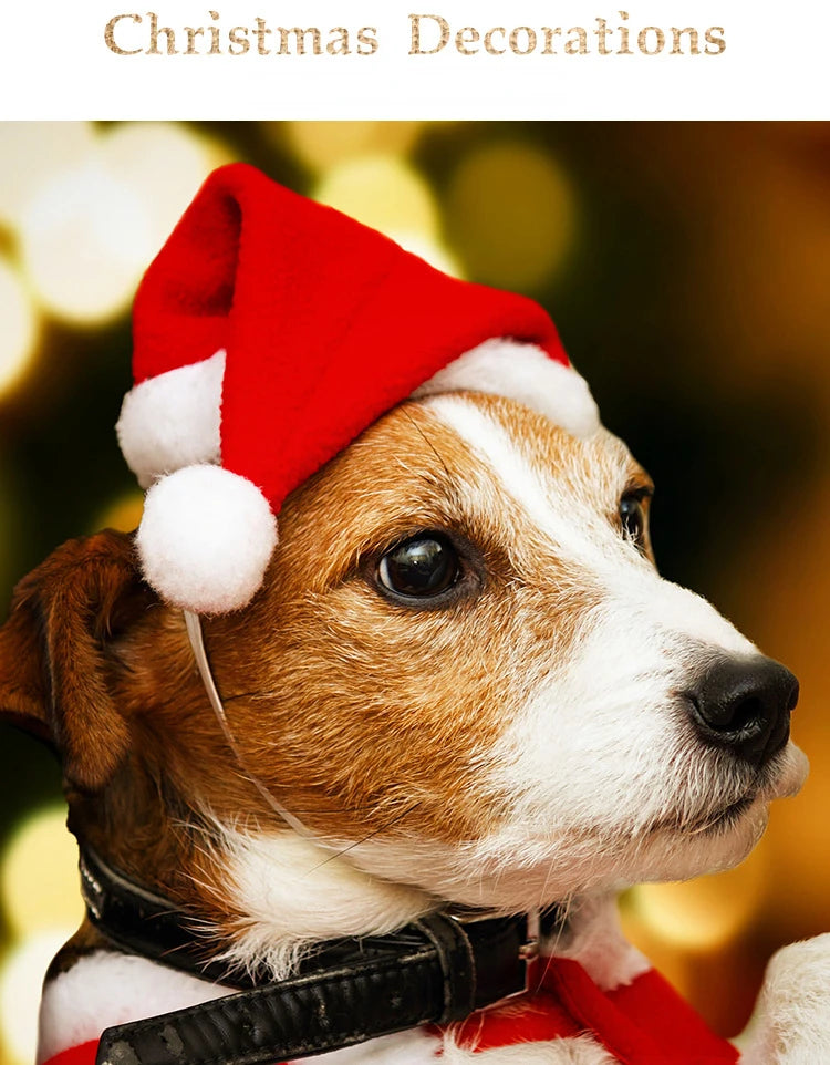 description_selected6