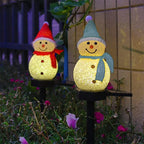 description_selected4