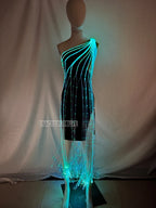 description_selected6
