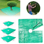 description_selected1