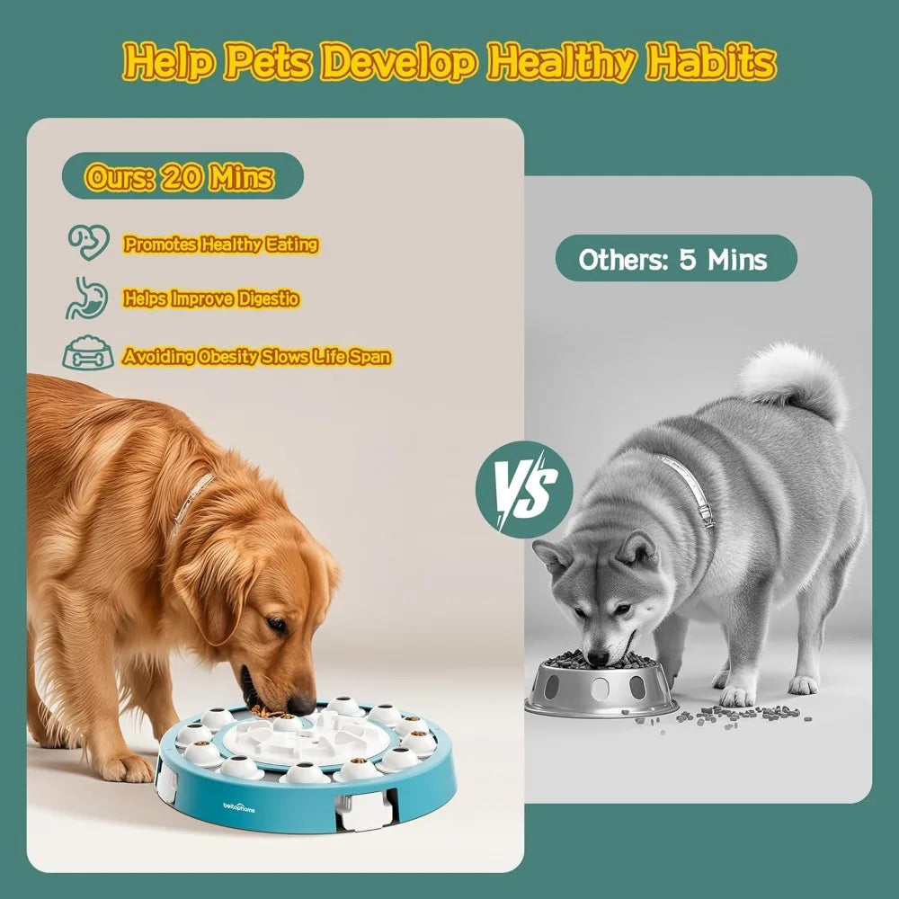 description_selected4