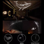 description_selected3