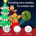 description_selected1