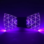 description_selected16