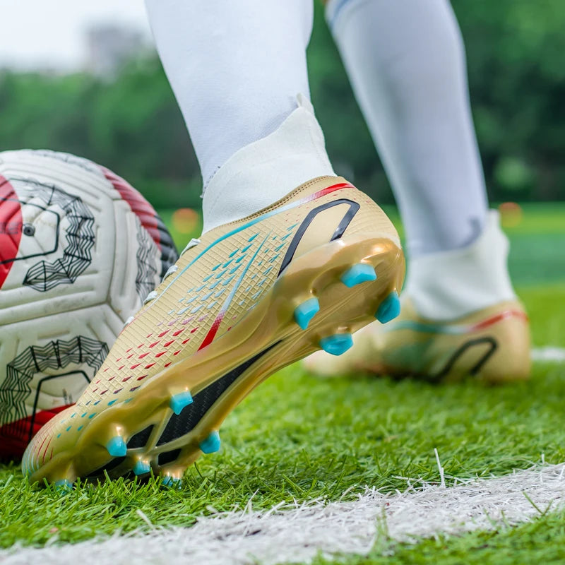 description_selected17