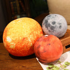description_selected24