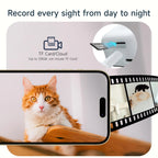 description_selected5