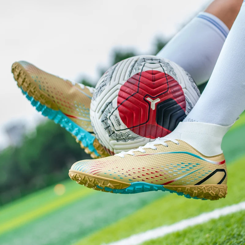 description_selected29