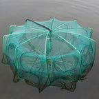 description_selected7