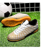 description_selected26