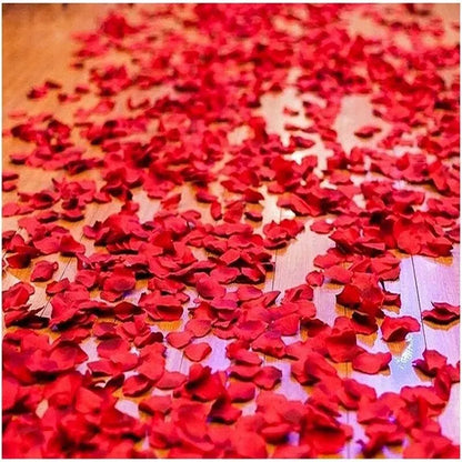 description_selected5