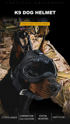 description_selected10