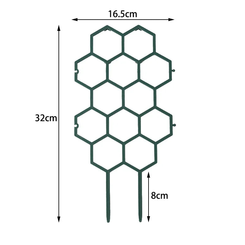 description_selected6
