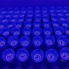 description_selected4