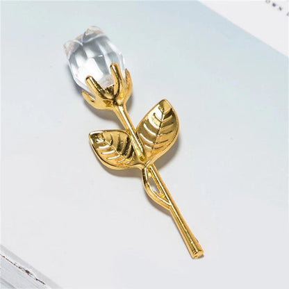 description_selected20