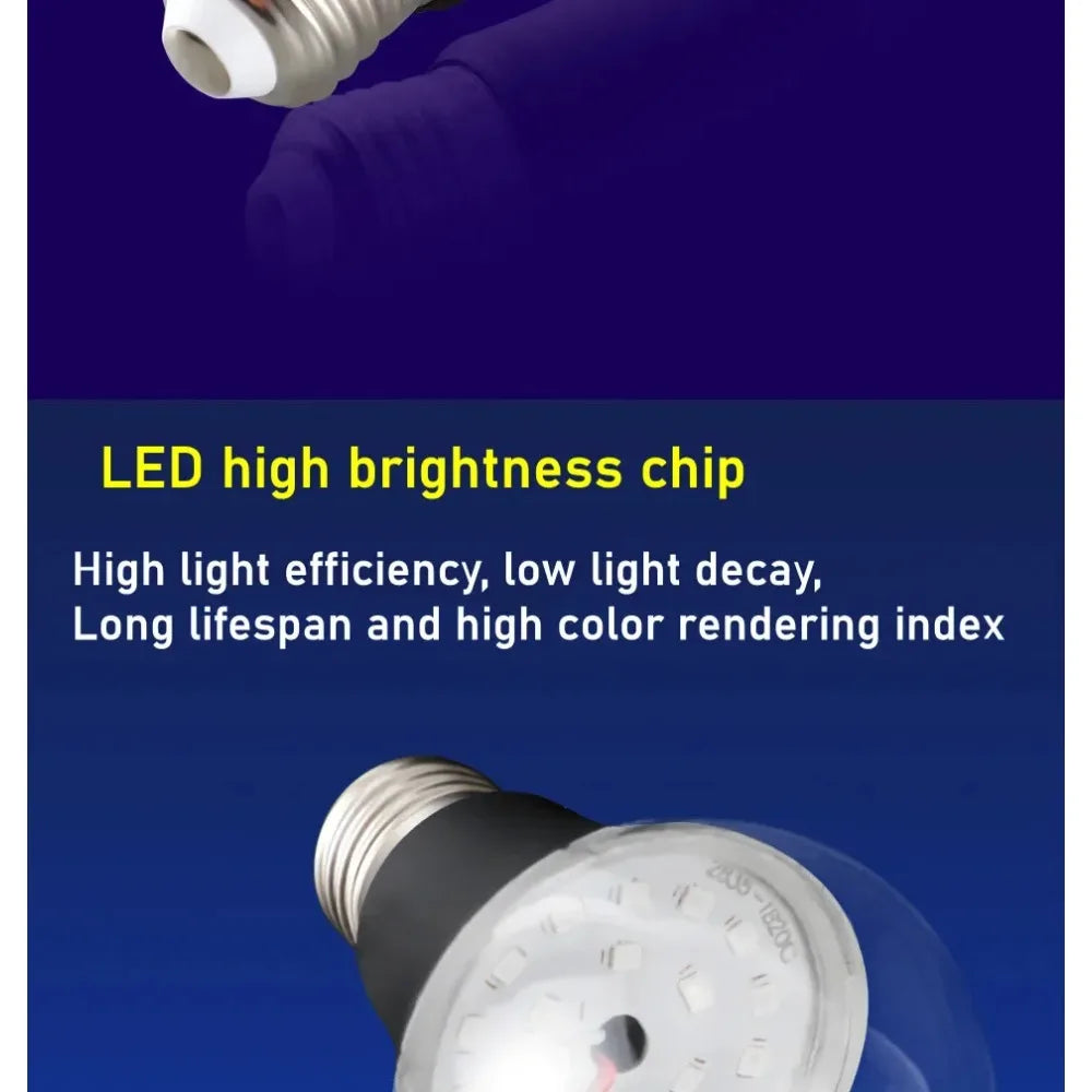 description_selected18