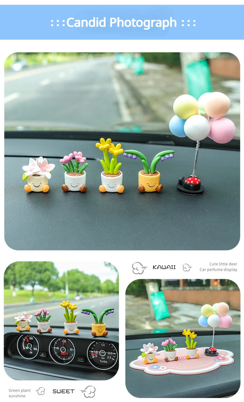 description_selected12
