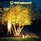 description_selected11