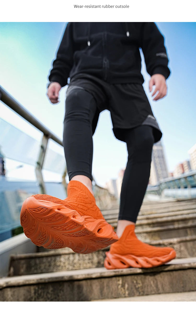 description_selected24