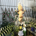 description_selected13