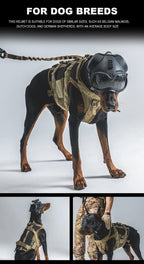 description_selected16