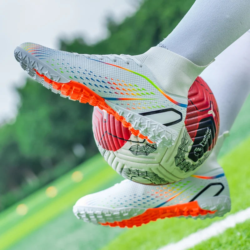 description_selected31