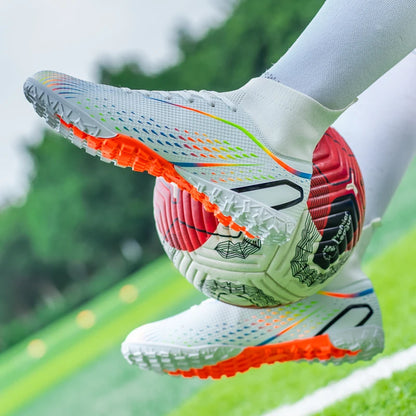 description_selected31