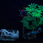 description_selected2