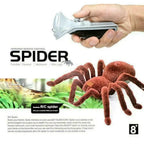 description_selected6
