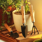 description_selected8